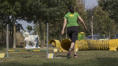 160911_garasocialeagility_059.jpg