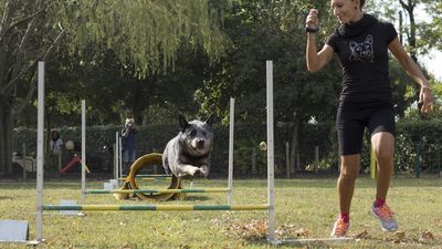 160911_garasocialeagility_020.jpg