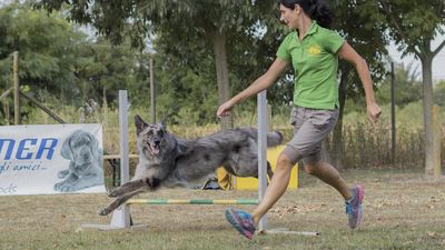 160911_garasocialeagility_041.jpg