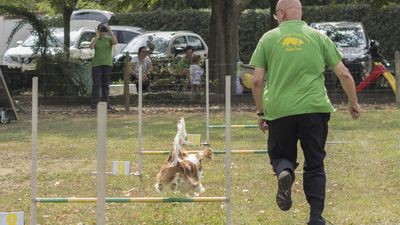 160911_garasocialeagility_192.jpg