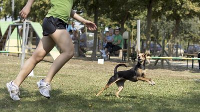 160911_garasocialeagility_259.jpg