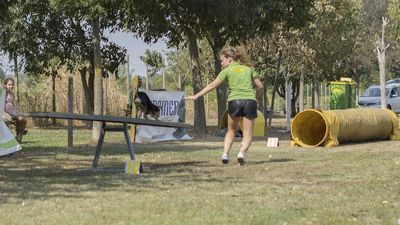 160911_garasocialeagility_256.jpg