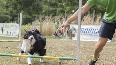 160911_garasocialeagility_173.jpg