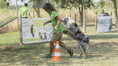 160911_garasocialeagility_290.jpg