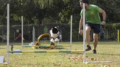 160911_garasocialeagility_013.jpg