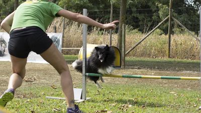 160911_garasocialeagility_104.jpg