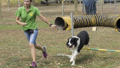 160911_garasocialeagility_196.jpg