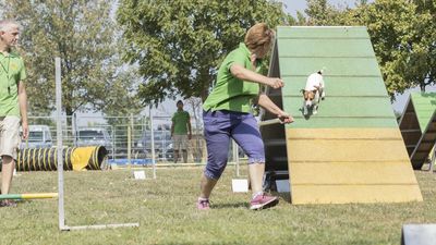 160911_garasocialeagility_210.jpg