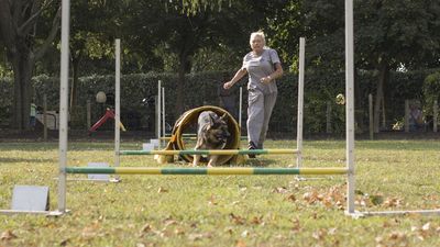 160911_garasocialeagility_009.jpg