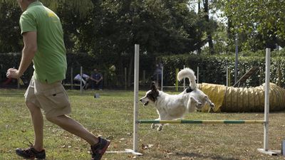 160911_garasocialeagility_095.jpg