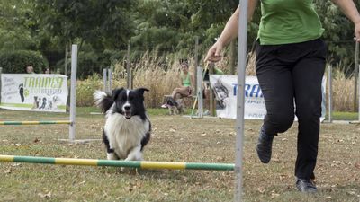 160911_garasocialeagility_160.jpg