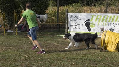 160911_garasocialeagility_028.jpg