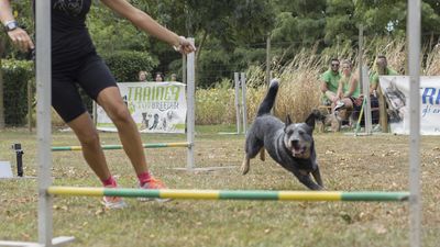 160911_garasocialeagility_176.jpg