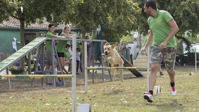 160911_garasocialeagility_126.jpg