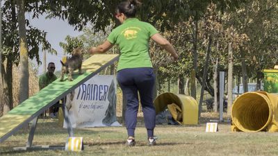 160911_garasocialeagility_203.jpg