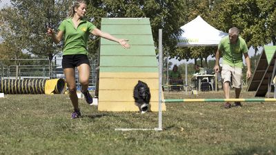 160911_garasocialeagility_275.jpg