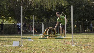 160911_garasocialeagility_004.jpg