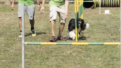 160911_garasocialeagility_235.jpg