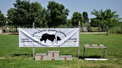 28mag17. premiaizoni sheepdog-1.jpg