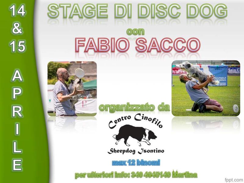 Stage di Disc Dog con Fabio Sacco