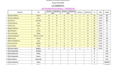 classifica avv. small-medium.jpg