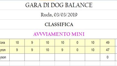 classifica avv. mini.jpg