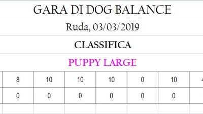 classifica puppy large.jpg