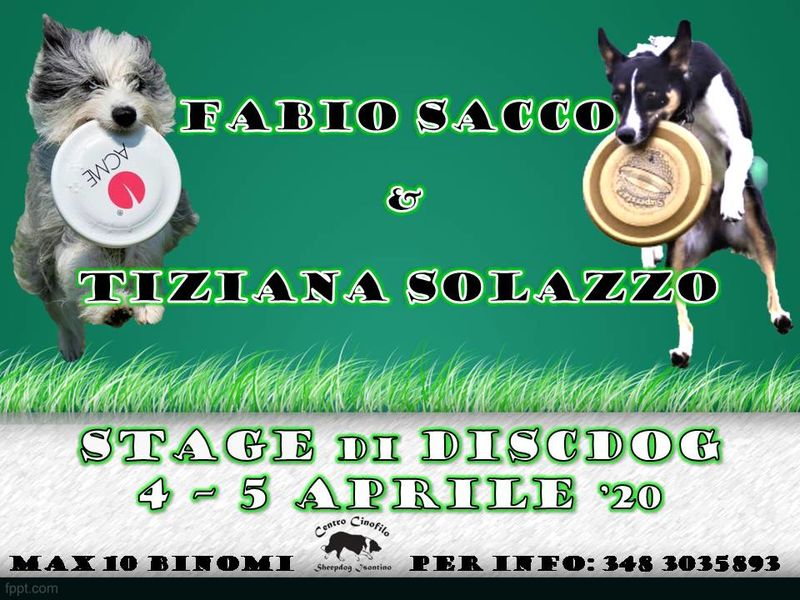 Stage di Discdog