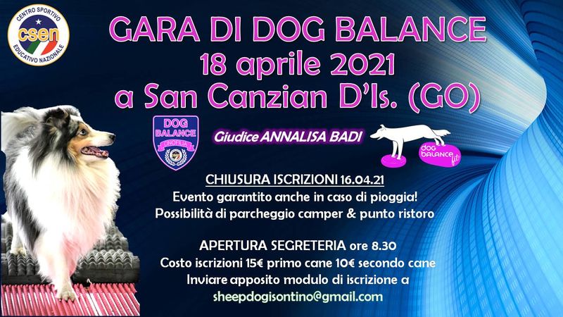 Gara di Dog Balance