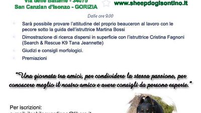 4 incontro amatoriale beauceron 2011.jpg